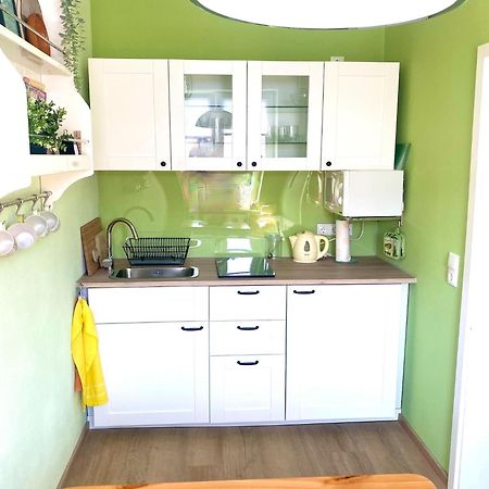 Apartment, ツィノヴィッツ エクステリア 写真